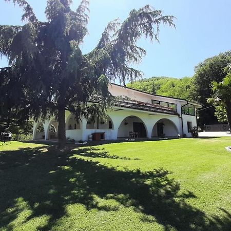 "Cara Pace" In Collina Per Famiglie Bed & Breakfast Montefiore Conca Eksteriør bilde