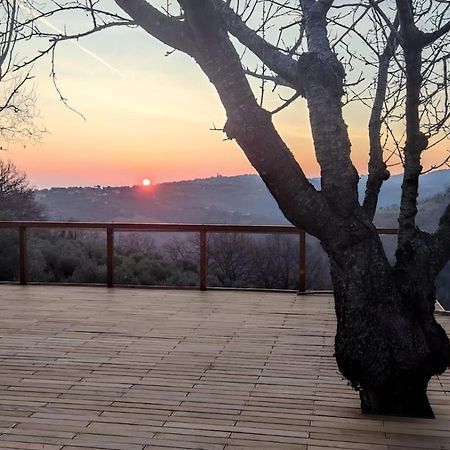 "Cara Pace" In Collina Per Famiglie Bed & Breakfast Montefiore Conca Eksteriør bilde