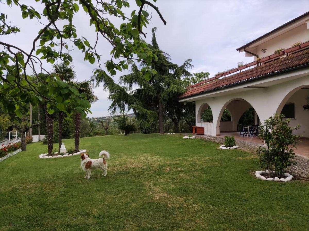 "Cara Pace" In Collina Per Famiglie Bed & Breakfast Montefiore Conca Eksteriør bilde