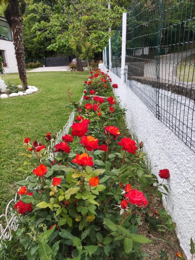 "Cara Pace" In Collina Per Famiglie Bed & Breakfast Montefiore Conca Eksteriør bilde