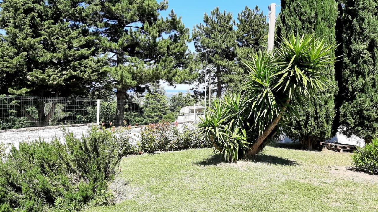 "Cara Pace" In Collina Per Famiglie Bed & Breakfast Montefiore Conca Eksteriør bilde